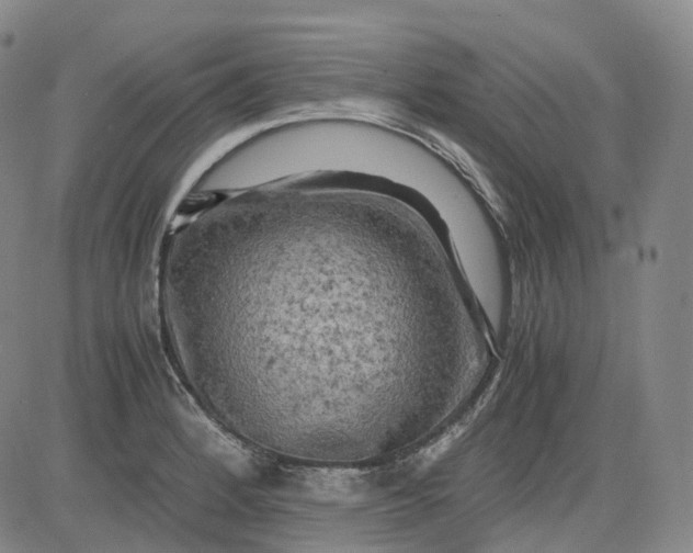 X0000083561184200702231555