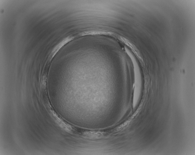 X0000083561185200702231555