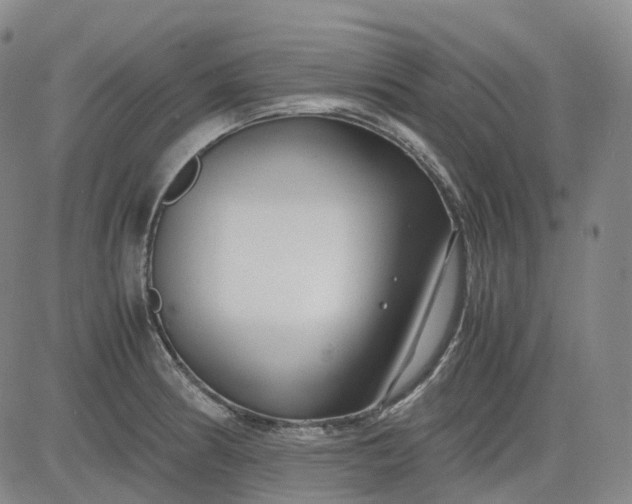 X0000083561186200702231555