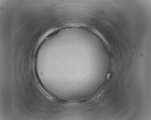 X0000083561187200702231555