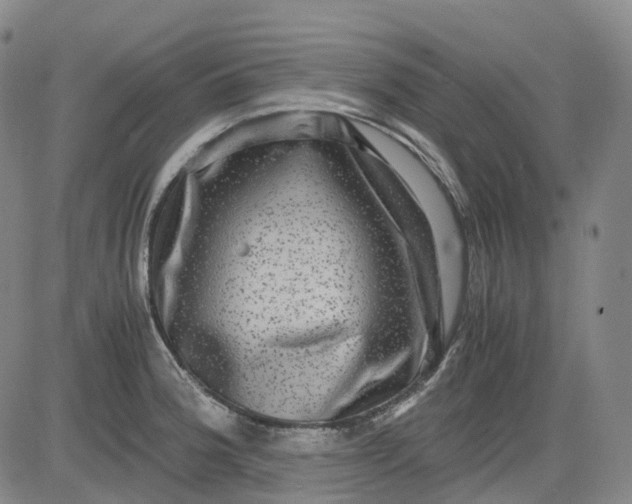 X0000083561188200702231555