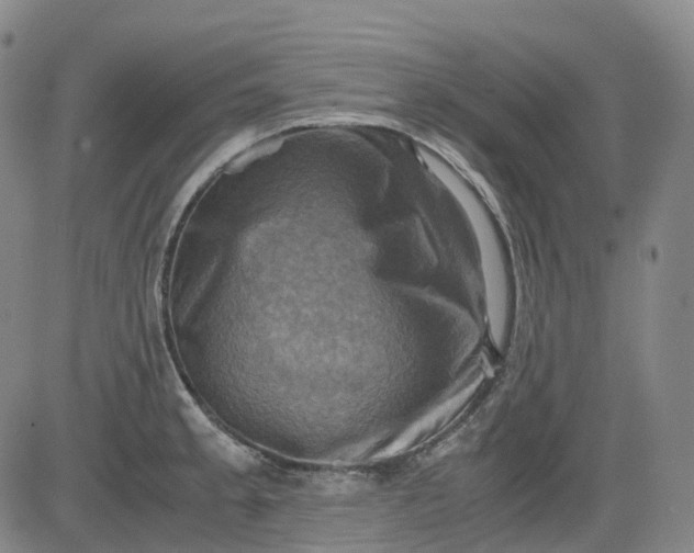 X0000083561189200702231555