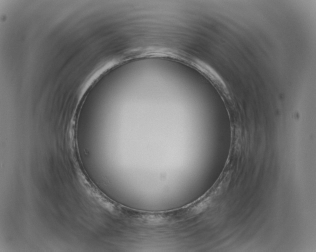 X0000083561190200702231555