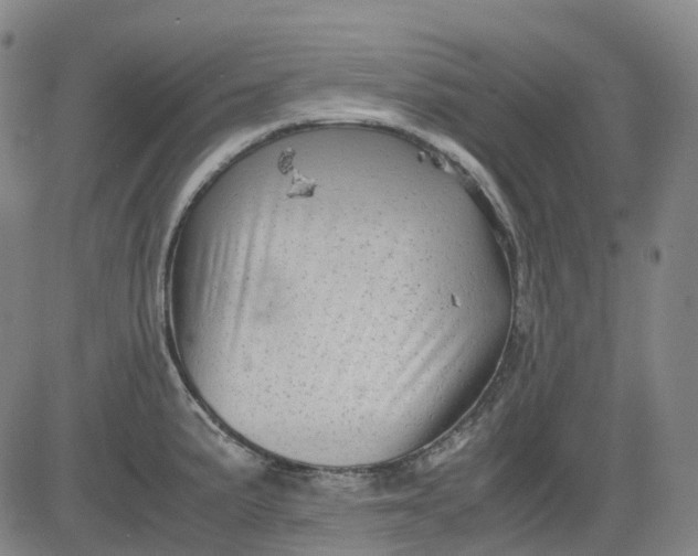 X0000083561191200702231555