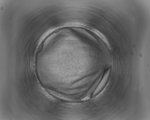 X0000083561192200702231555