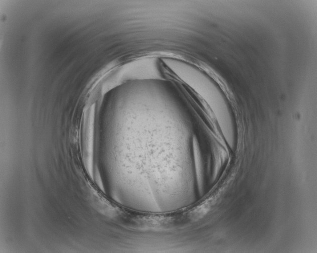 X0000083561193200702231555