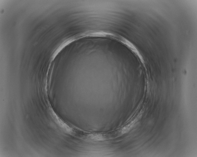 X0000083561194200702231555