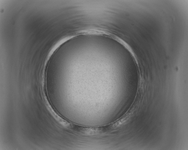 X0000083561195200702231555