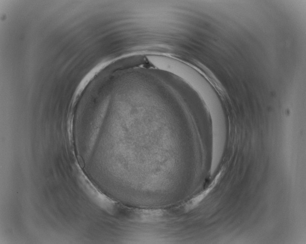 X0000083561196200702231555