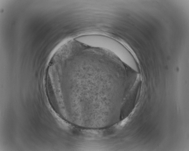 X0000083561197200702231555