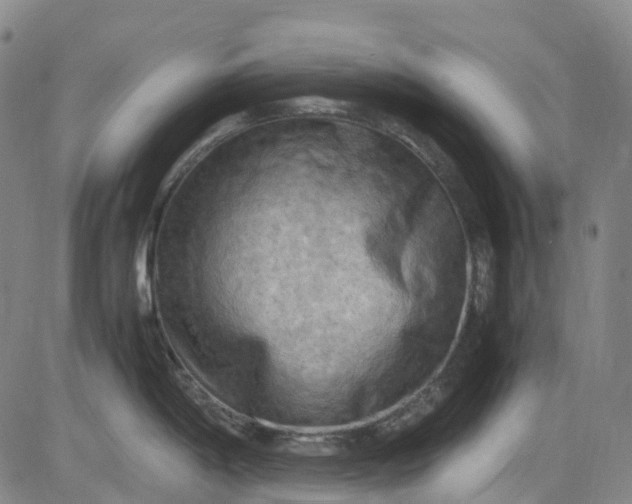 X0000083561198200702231555