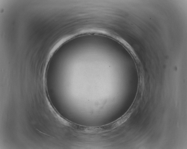 X0000083561199200702231555