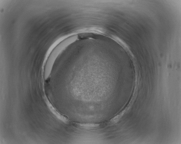 X0000083561200200702231555