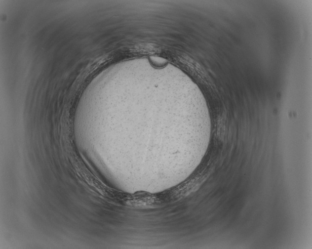 X0000083561201200702231554