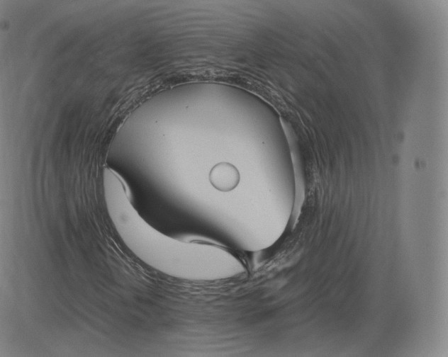 X0000083561202200702231554