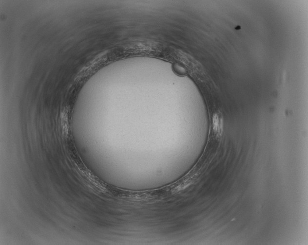 X0000083561203200702231554