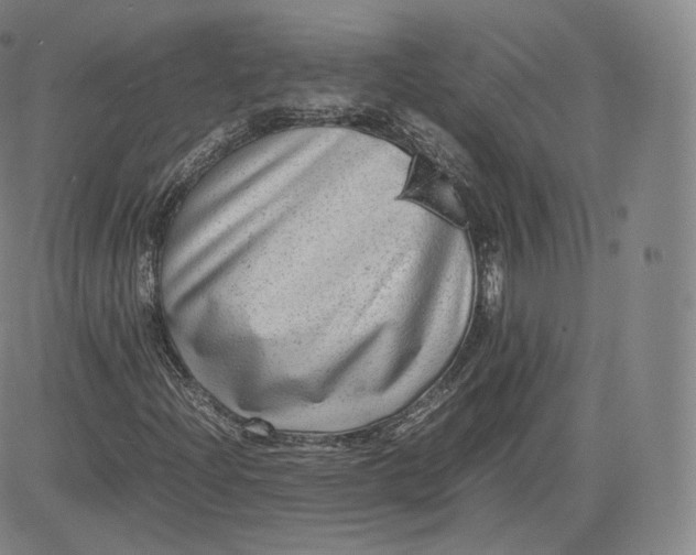 X0000083561204200702231554