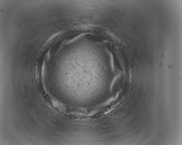 X0000083561206200702231554