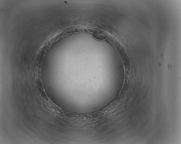 X0000083561207200702231554