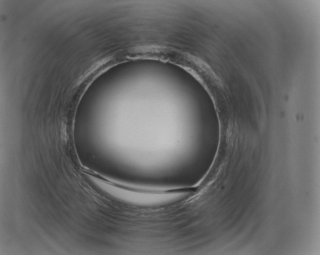 X0000083561209200702231554