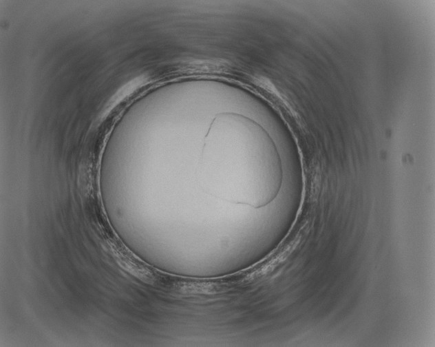 X0000083561211200702231554