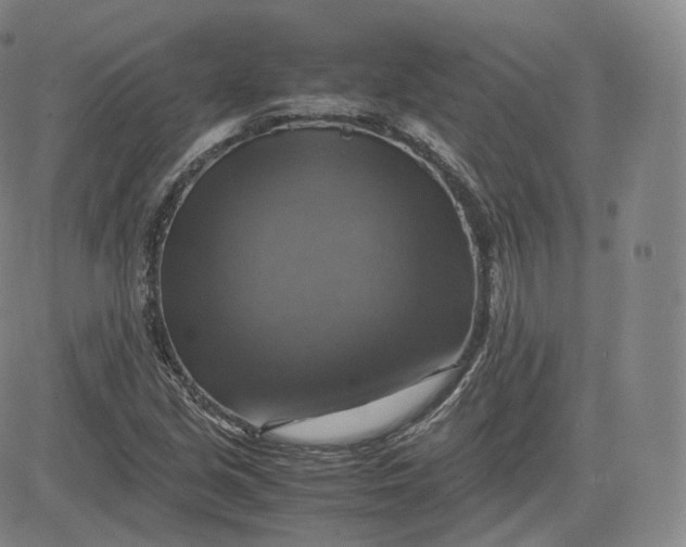 X0000083561213200702231554