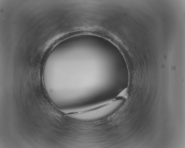 X0000083561214200702231554