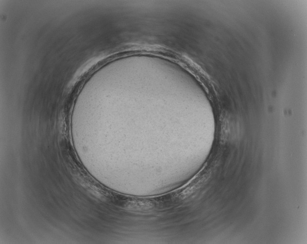 X0000083561215200702231554