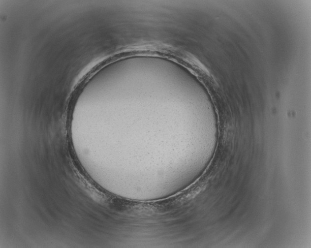 X0000083561216200702231554