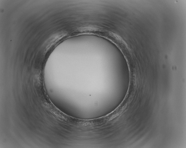 X0000083561217200702231554