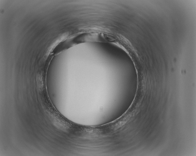 X0000083561218200702231554