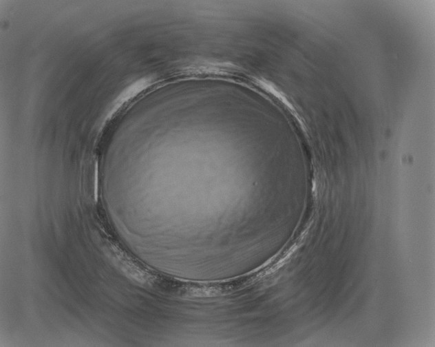 X0000083561219200702231554