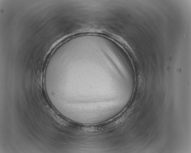 X0000083561220200702231554