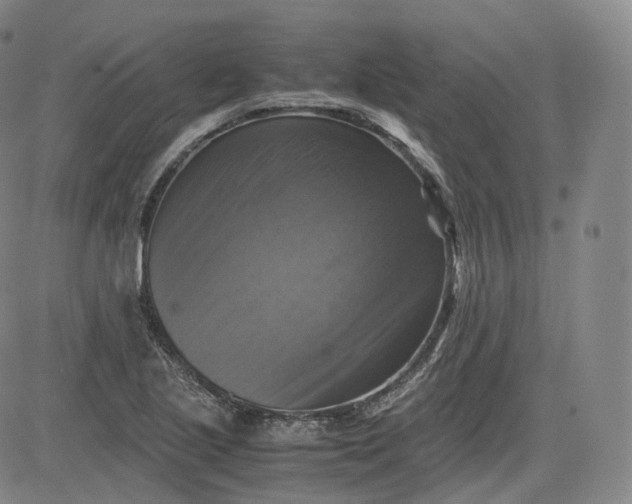 X0000083561221200702231554