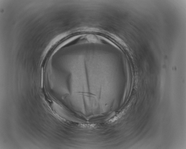 X0000083561223200702231555