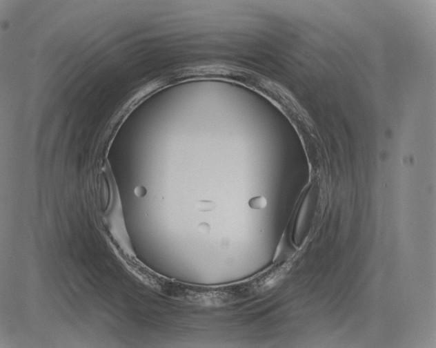 X0000083561225200702231555