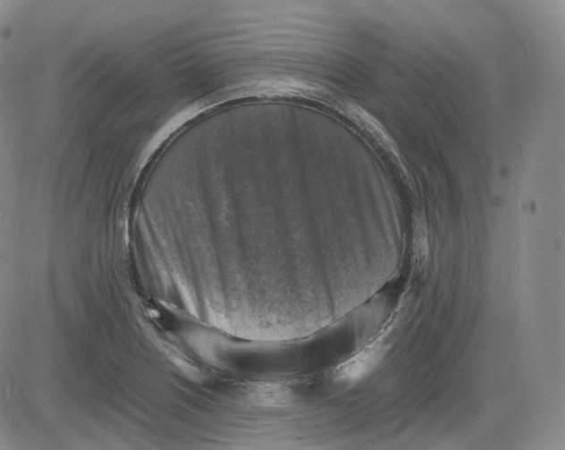 X0000083561226200702231555