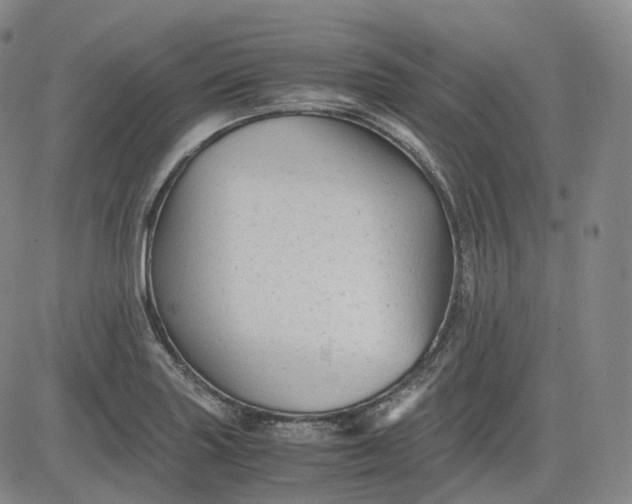 X0000083561227200702231555