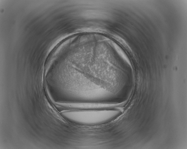 X0000083561228200702231555