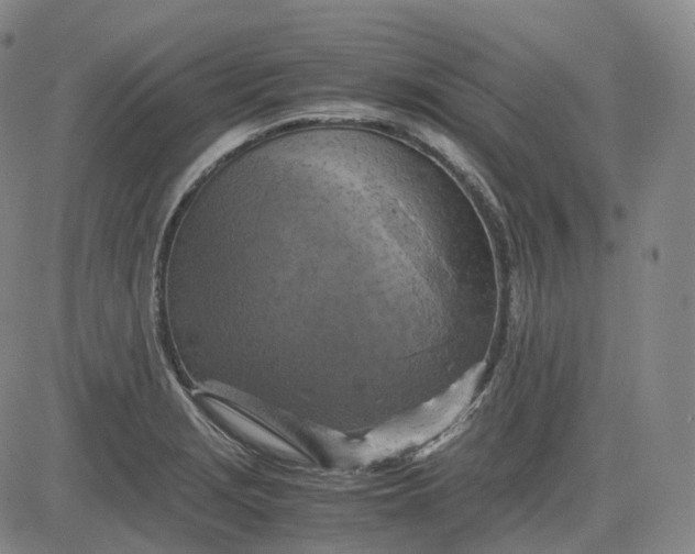 X0000083561229200702231555