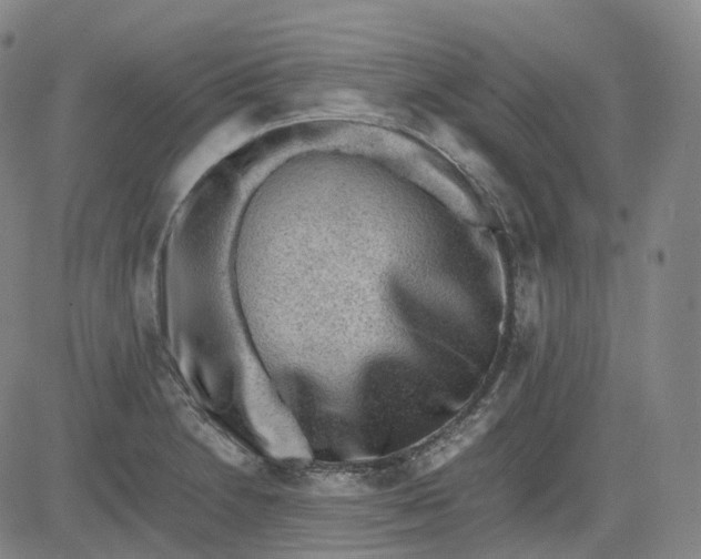 X0000083561230200702231555