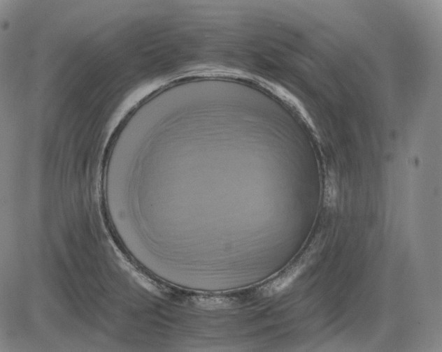 X0000083561231200702231555