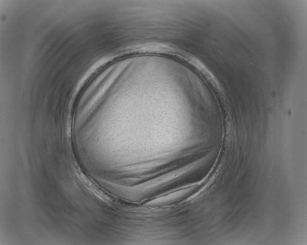 X0000083561232200702231555