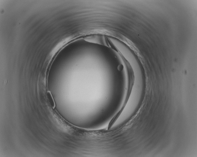 X0000083561234200702231555