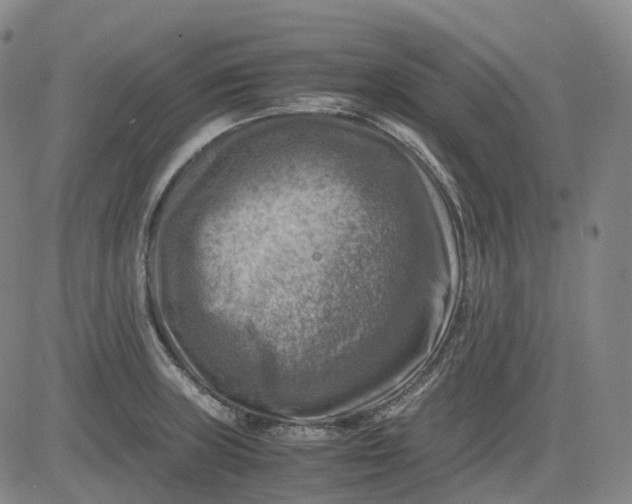 X0000083561235200702231555