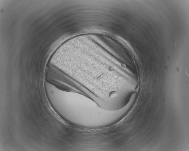 X0000083561236200702231555