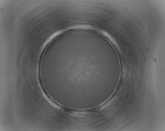 X0000083561237200702231555