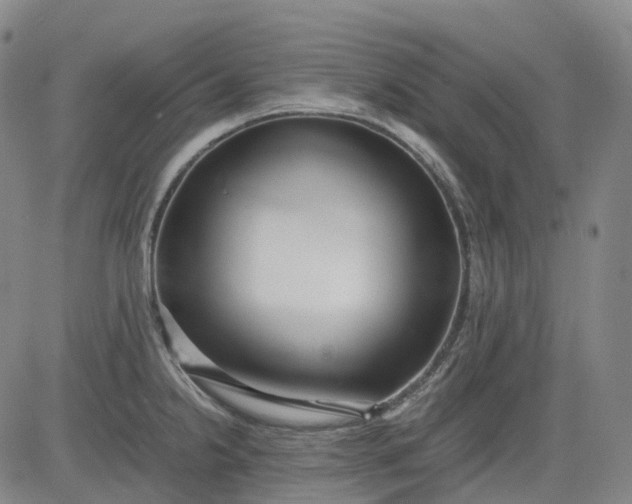 X0000083561238200702231555