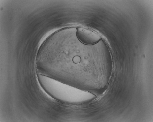 X0000083561239200702231555