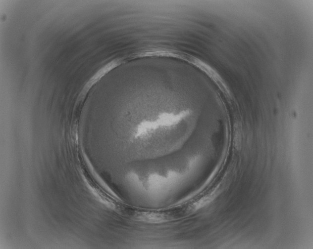 X0000083561241200702231555